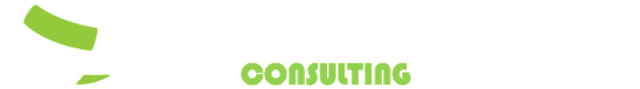 TRUST CONSULTING PARTNERS SARL